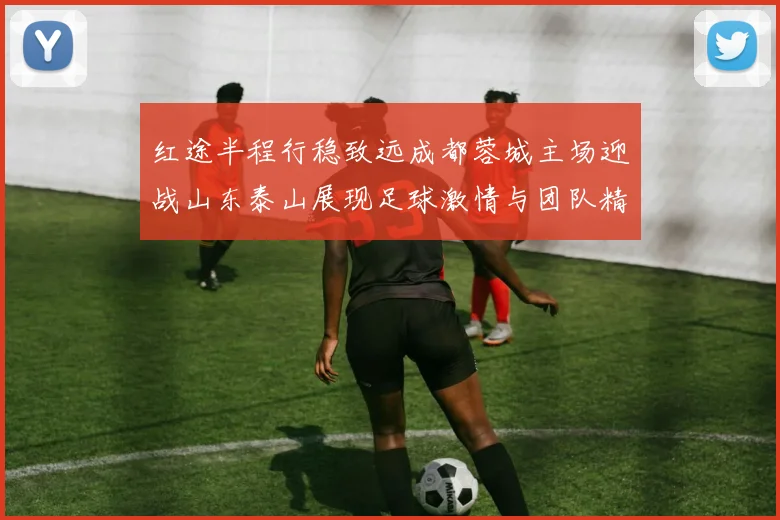 红途半程行稳致远成都蓉城主场迎战山东泰山展现足球激情与团队精神
